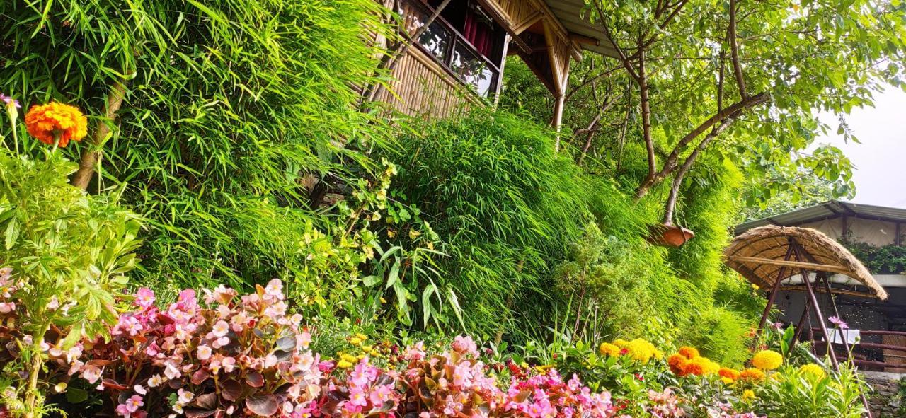 Nature Drops, Pangot Nainital Exterior photo